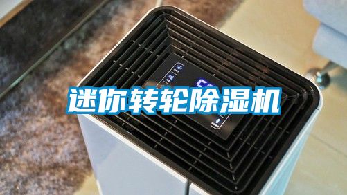 迷你轉(zhuǎn)輪除濕機