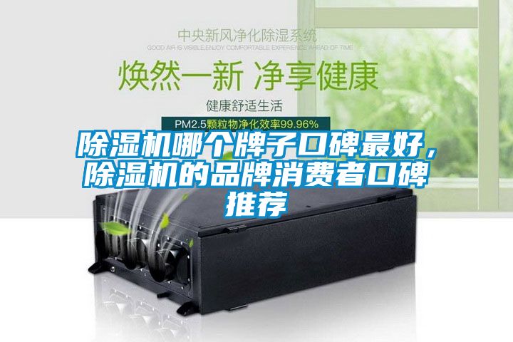 除濕機哪個牌子口碑最好，除濕機的品牌消費者口碑推薦