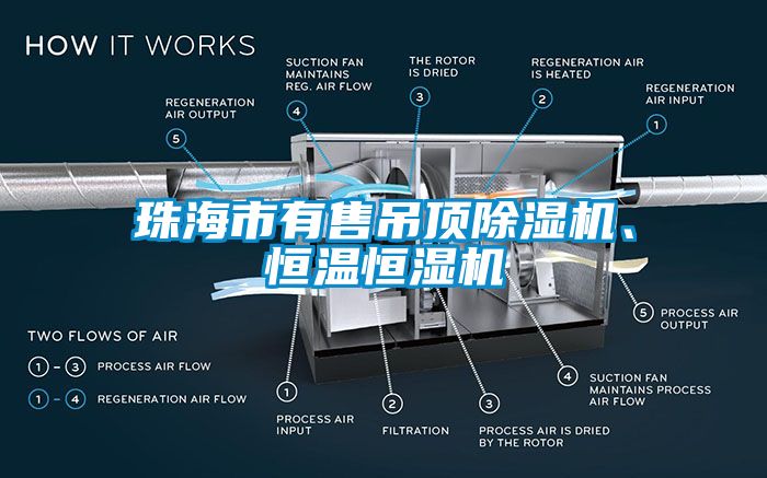 珠海市有售吊頂除濕機、恒溫恒濕機