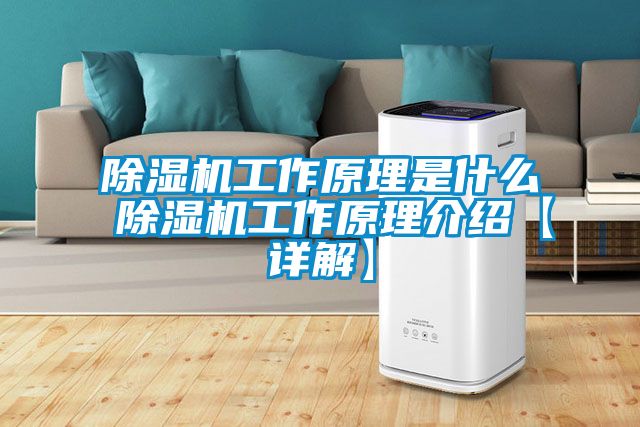 除濕機工作原理是什么 除濕機工作原理介紹【詳解】