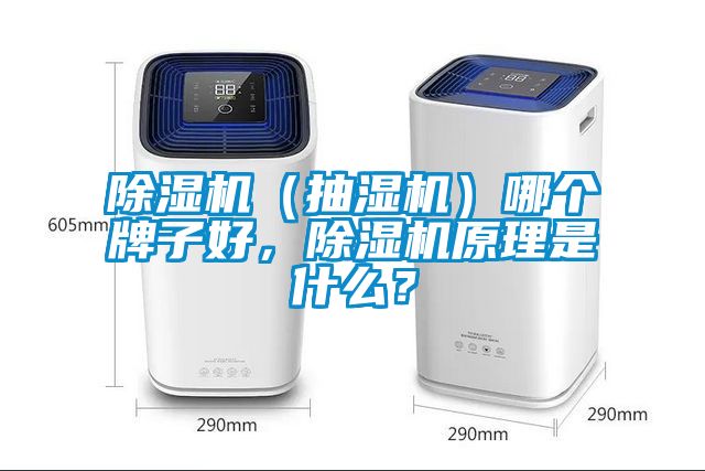 除濕機（抽濕機）哪個牌子好，除濕機原理是什么？