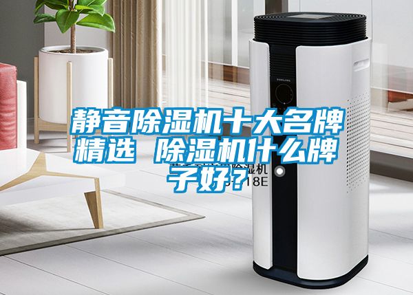 靜音除濕機十大名牌精選 除濕機什么牌子好？