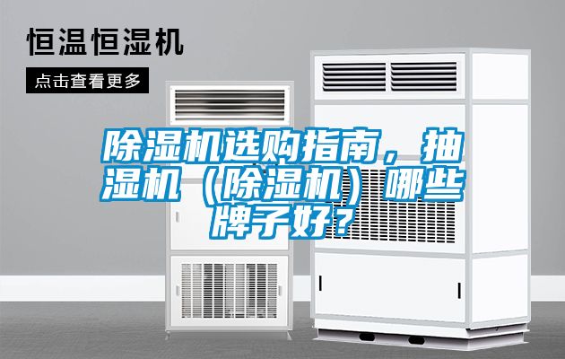 除濕機選購指南，抽濕機（除濕機）哪些牌子好？