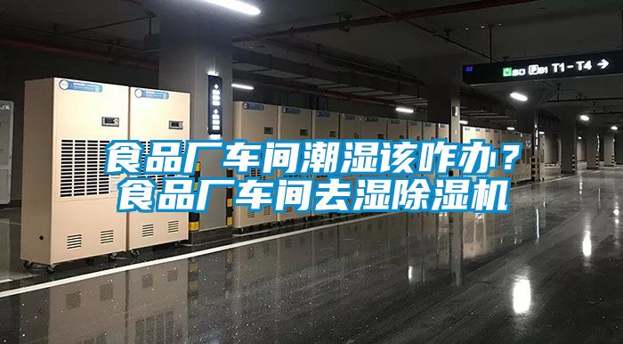 食品廠車間潮濕該咋辦？食品廠車間去濕除濕機(jī)