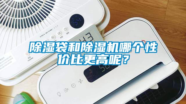 除濕袋和除濕機哪個性價比更高呢？