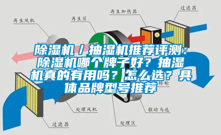 除濕機／抽濕機推薦評測：除濕機哪個牌子好？抽濕機真的有用嗎？怎么選？具體品牌型號推薦