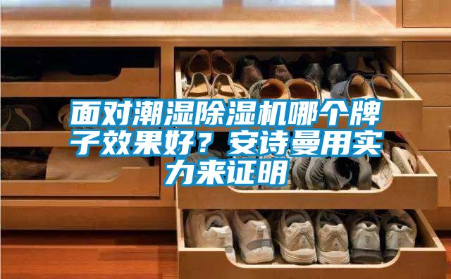 面對潮濕除濕機哪個牌子效果好？安詩曼用實力來證明