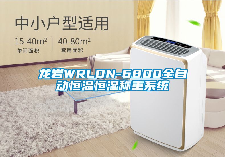 龍巖WRLDN-6800全自動(dòng)恒溫恒濕稱重系統(tǒng)